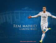 秘饭直播-马竞欧冠2016：逆袭与失败的背后 .