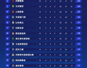 秘饭直播-足球大使的职责和代表意义是什么？（足球大神有哪些）