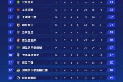 秘饭直播-足球大使的职责和代表意义是什么？（足球大神有哪些）