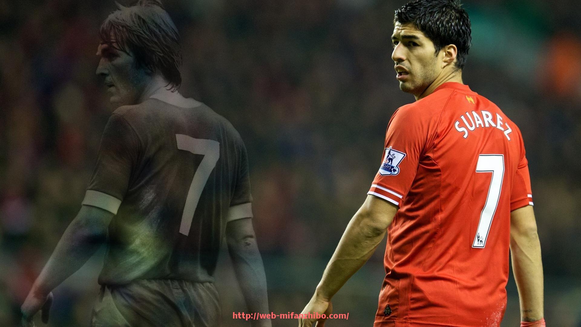 秘饭直播-肩部训练健身器材大盘点：常见设备与训练目标对比